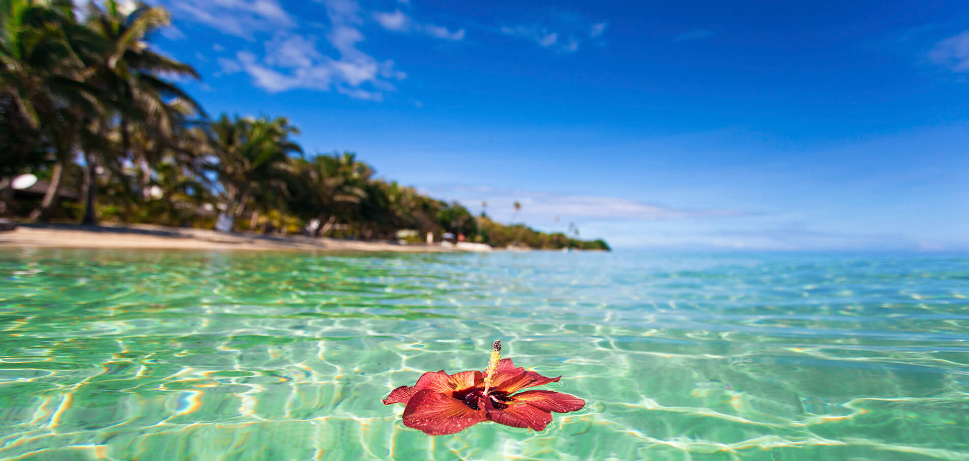 Location de yacht de luxe Fidji - WorldWideLuxuryYacht